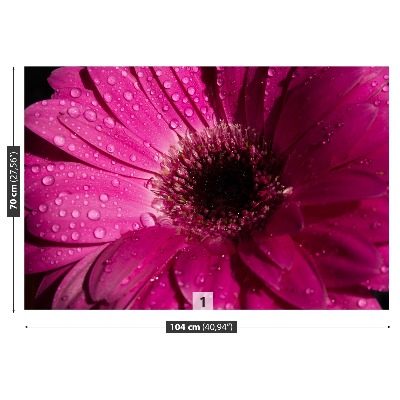 Carta da parati Purple Gerbera