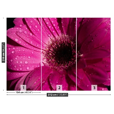 Carta da parati Purple Gerbera