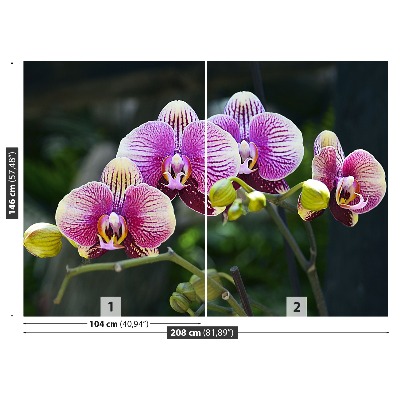 Carta da parati Orchidea viola