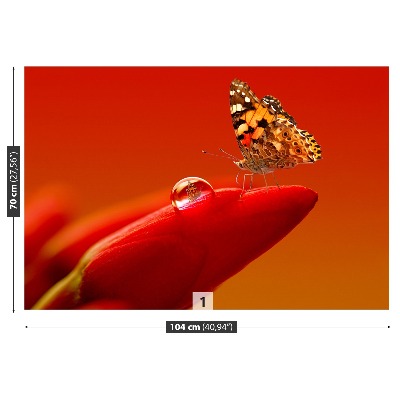 Carta da parati Butterfly Tulip