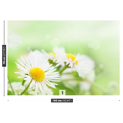 Carta da parati Green Daisy