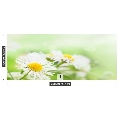 Carta da parati Green Daisy