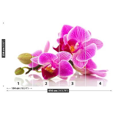 Carta da parati Fiori di orchidea