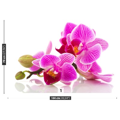 Carta da parati Fiori di orchidea