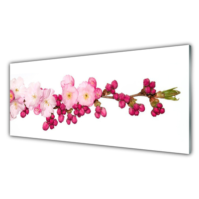 Quadro su vetro acrilico Ramoscello di fiori di ciliegio