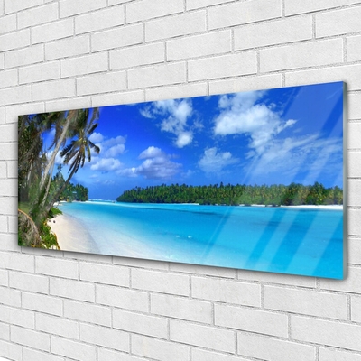 Quadro su vetro acrilico Mare di Palm Beach