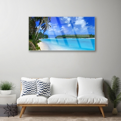 Quadro su vetro acrilico Mare di Palm Beach