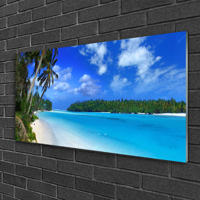 Quadro su vetro acrilico Mare di Palm Beach