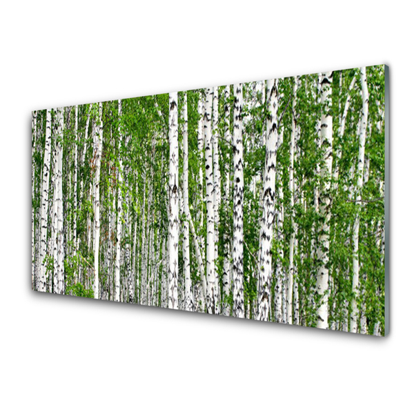 Quadro acrilico Natura degli alberi della foresta di betulle