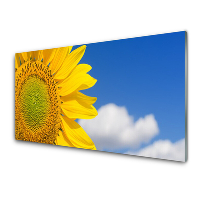 Quadro acrilico Nuvole del cielo del girasole