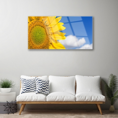 Quadro acrilico Nuvole del cielo del girasole