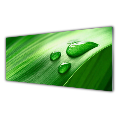 Quadro vetro acrilico Foglia, acqua, gocce