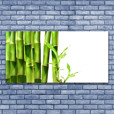 Quadro vetro acrilico La pianta di bambù