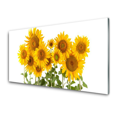 Quadro in vetro acrilico Pianta i girasoli