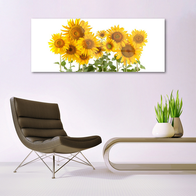 Quadro in vetro acrilico Pianta i girasoli