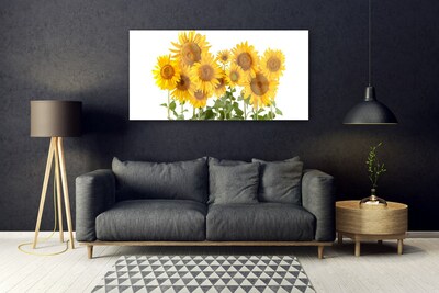 Quadro in vetro acrilico Pianta i girasoli