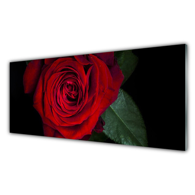 Quadro acrilico Rosa Sul Muro