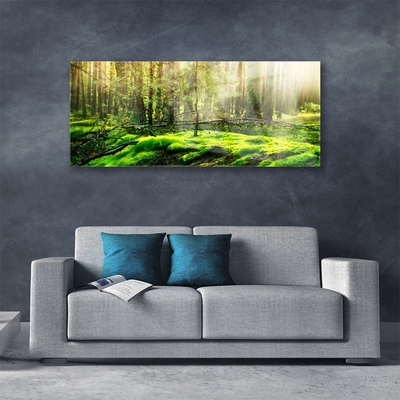 Quadro vetro acrilico Muschio della foresta naturale