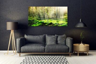 Quadro vetro acrilico Muschio della foresta naturale