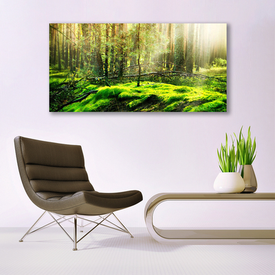 Quadro vetro acrilico Muschio della foresta naturale