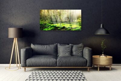 Quadro vetro acrilico Muschio della foresta naturale