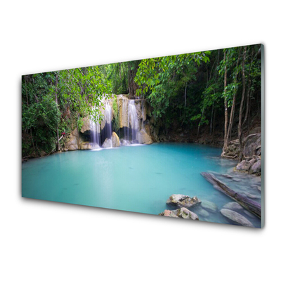 Quadro su vetro acrilico Cascata del lago della foresta naturale