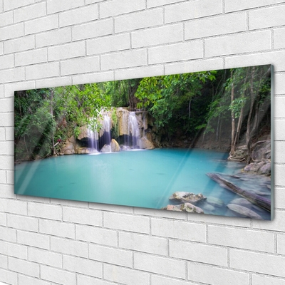 Quadro su vetro acrilico Cascata del lago della foresta naturale