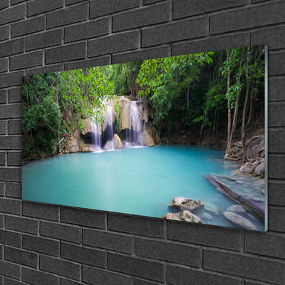 Quadro su vetro acrilico Cascata del lago della foresta naturale