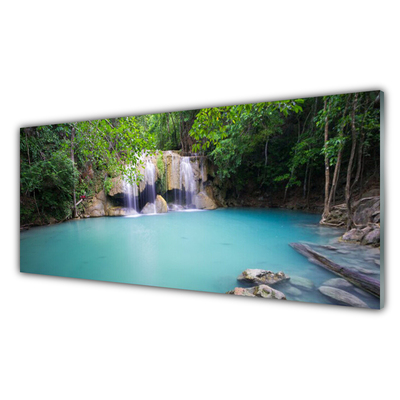 Quadro su vetro acrilico Cascata del lago della foresta naturale