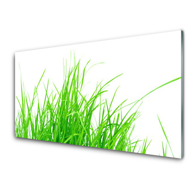 Quadro vetro acrilico L'erba La pianta