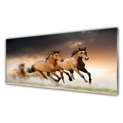 Quadro vetro acrilico Animali cavalli