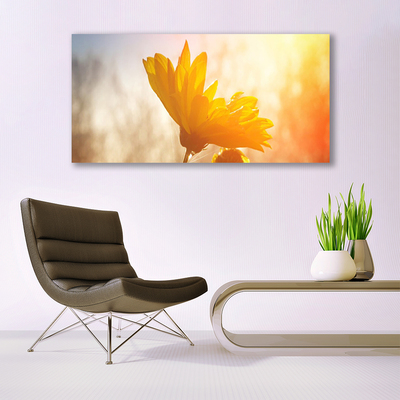 Quadro su vetro acrilico girasole