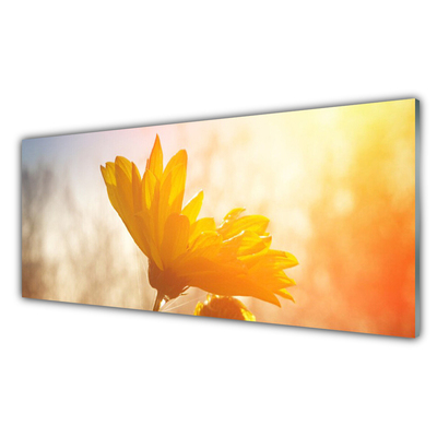 Quadro su vetro acrilico girasole