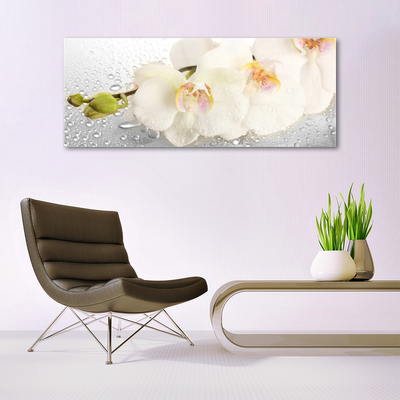 Quadro vetro acrilico Fiori Sul Muro