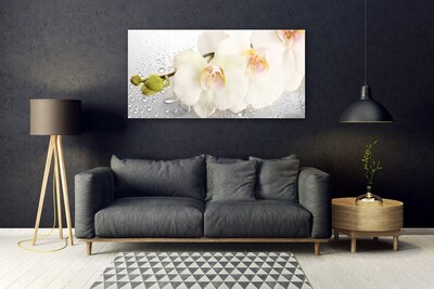 Quadro vetro acrilico Fiori Sul Muro