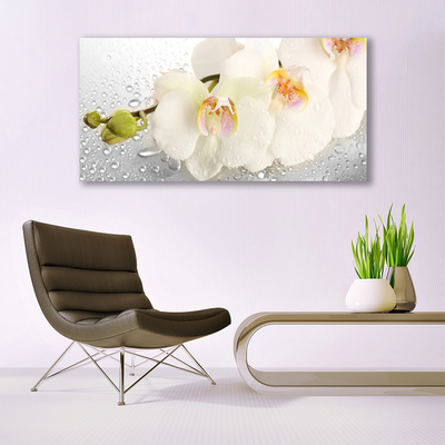 Quadro vetro acrilico Fiori Sul Muro