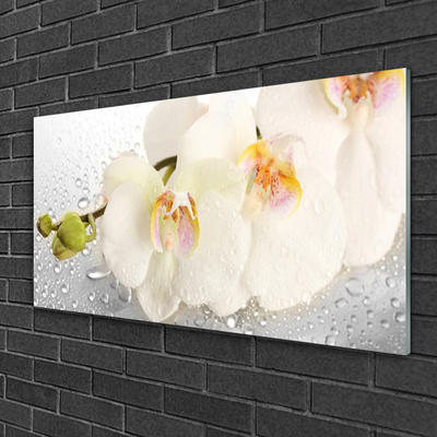 Quadro vetro acrilico Fiori Sul Muro