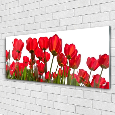 Quadro acrilico Fiori Sul Muro