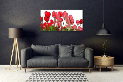 Quadro acrilico Fiori Sul Muro