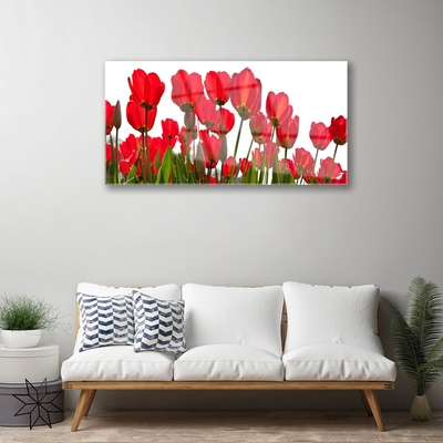 Quadro acrilico Fiori Sul Muro