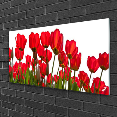 Quadro acrilico Fiori Sul Muro