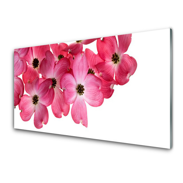 Quadro acrilico Fiori Sul Muro