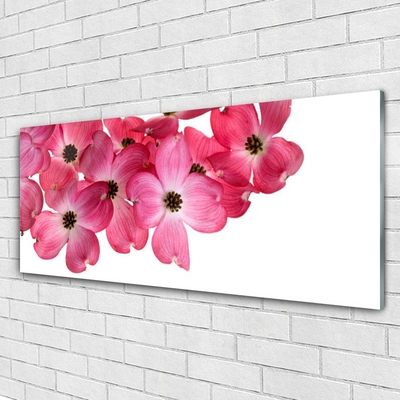 Quadro acrilico Fiori Sul Muro