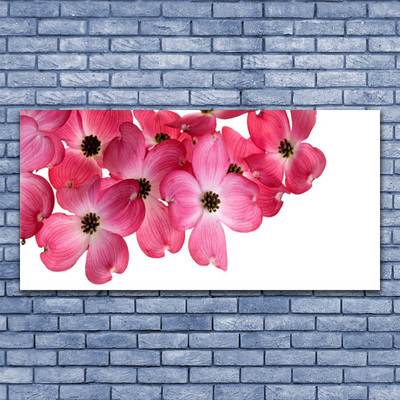 Quadro acrilico Fiori Sul Muro