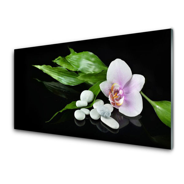 Quadro acrilico Foglie di pietre di fiori