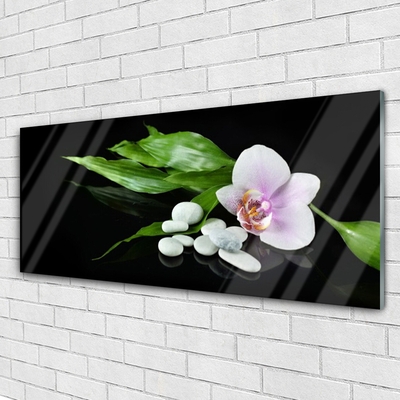 Quadro acrilico Foglie di pietre di fiori