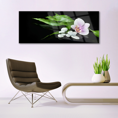 Quadro acrilico Foglie di pietre di fiori