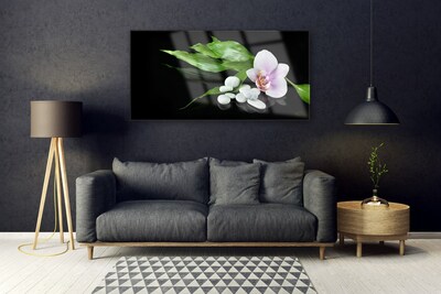 Quadro acrilico Foglie di pietre di fiori