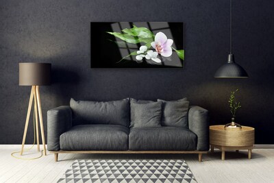 Quadro acrilico Foglie di pietre di fiori