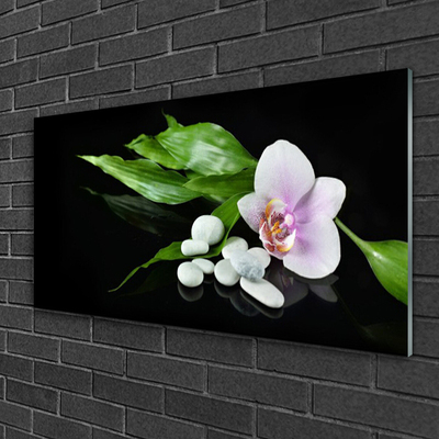 Quadro acrilico Foglie di pietre di fiori